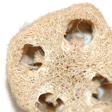 United States Loofah Sponges