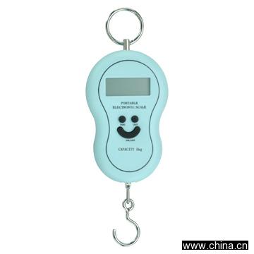 Portable Electronic Scales