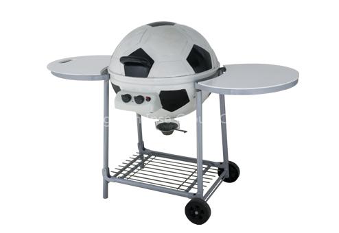 Outdoor BBQ Gas Grill
