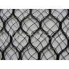 bird net06
