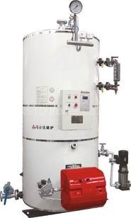 industrial gas steam boiler