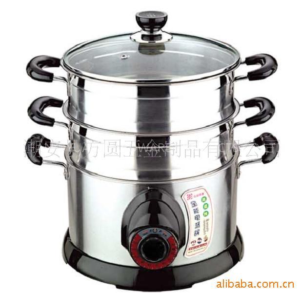 electric steamer