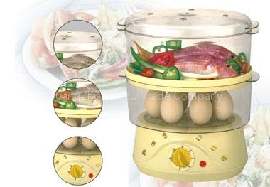 Electrical steamer