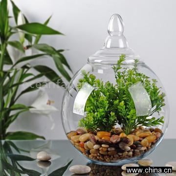High Clear Handblown Glass Ball with Glass Lid