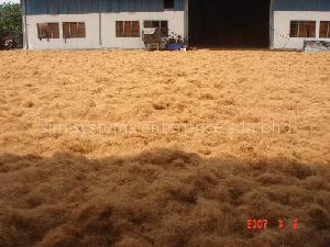 COCONUT FIBER