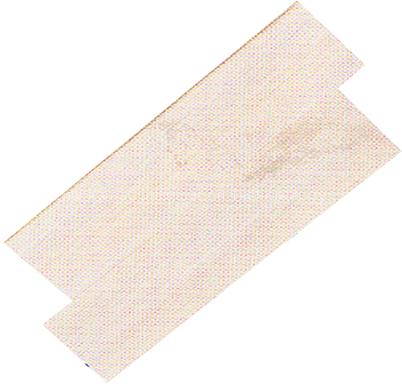White Oak(D568)