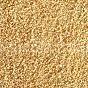 dehydrated ginger granule