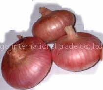 yellow and red fresh onion