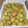 Fresh lychee