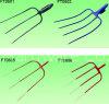 fork