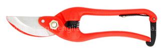 Pruning Shear