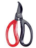 Garden Scissor