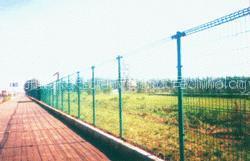 Wire Mesh Fencing