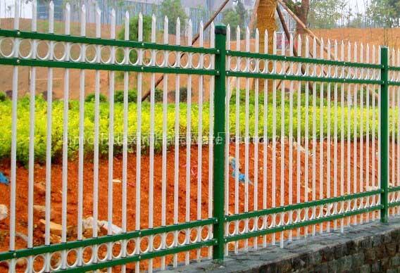 Fence/Iron Door