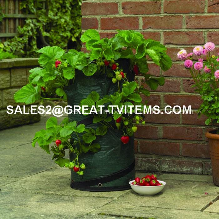 Pop Up Strawberry Planter