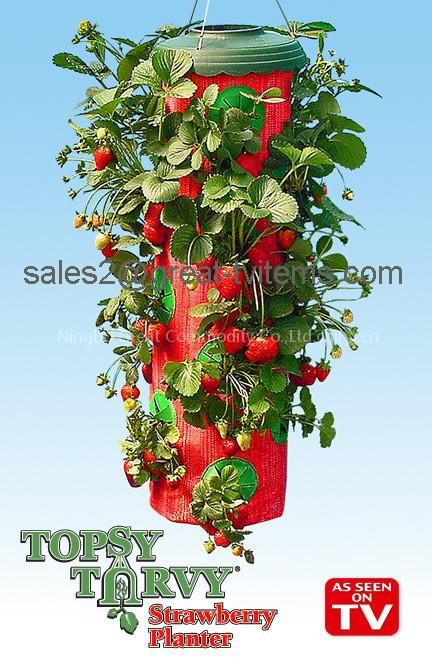 Topsy turvy strawberry planter/as seen on tv