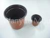 seed tray