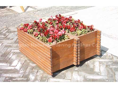 Flower Boxes
