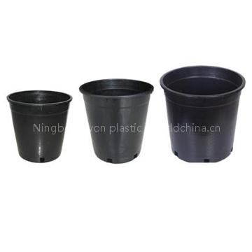 flower pot