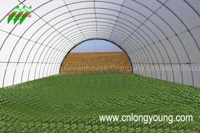 Ecomonical Plastic Tunnel,Muti-span Plastic Green house, Polycarbonate(PC) Hot house, Glass House; PE,PVC Plastic Sheet, Temper Glass, Polycarbonate Sheet; Shading Equipment, Venitation Equipmnet, Cooling Equipment, Irrigation System, Planting equip