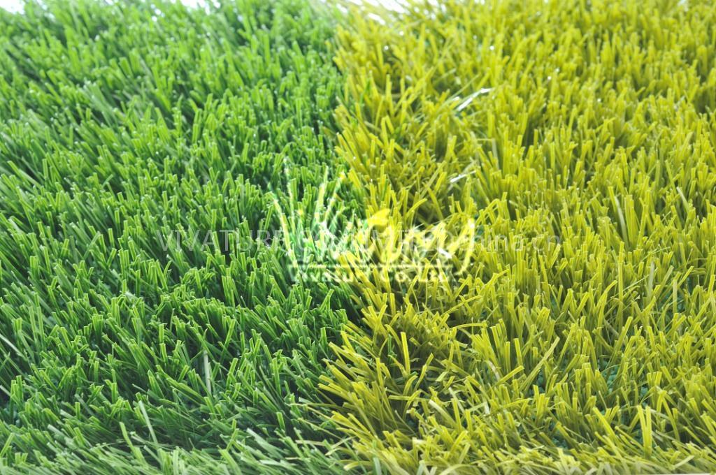 Soccer grass