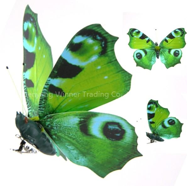 Colorful Decorative Butterfly