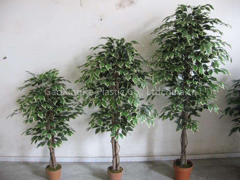 artificial ficus tree---cream & green