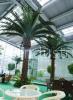 Artifical Coconut Tree