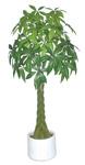 Artifical Plant