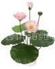 Artificial Lotus