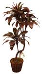 Artifical Dracaena