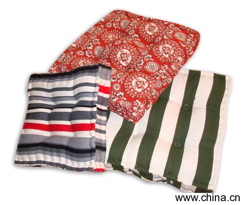 Canvas Cushion