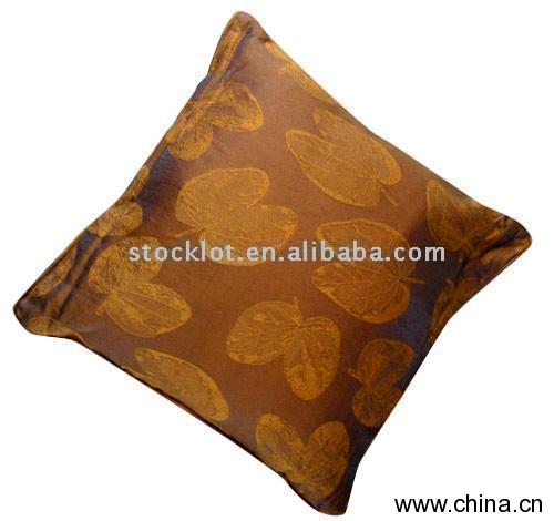 Vacuum Cushion