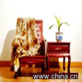 Synthetic Fur Cushion and Throw