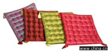 Check Cushion