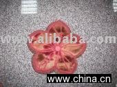 Flower Shape Cushion(CTP006)