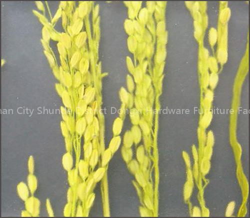decorative panel, artificial stone, transparent panel