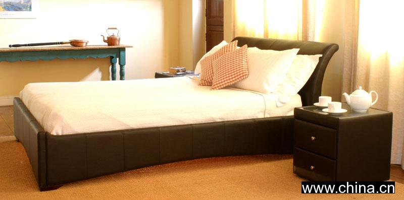 Leather Bed