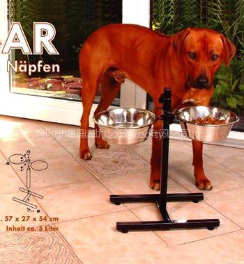The stainless steel dog bowl