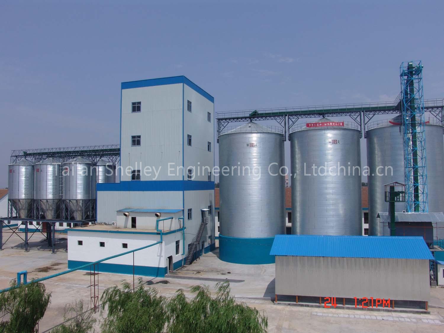 Paddy Silos