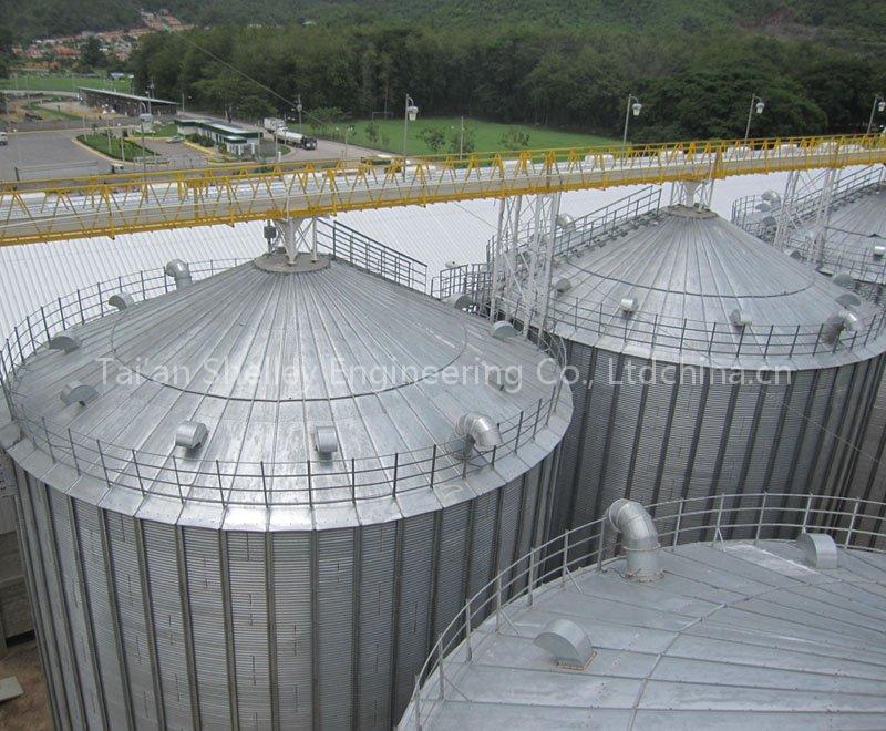 Grain flat bottom Silos