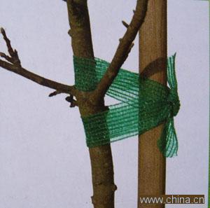 Tree tie