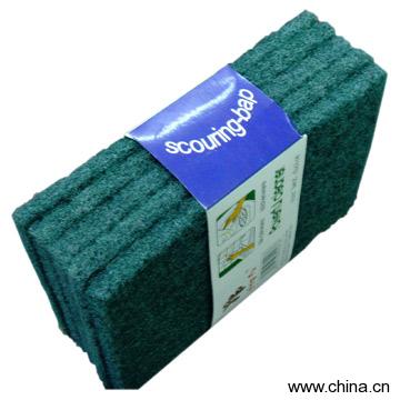 Scouring Pad