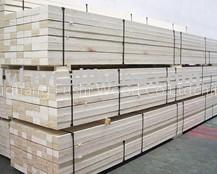LVB (poplar)