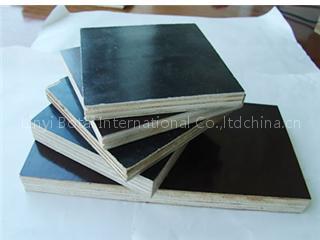 1220X2440MM black film faced plywood