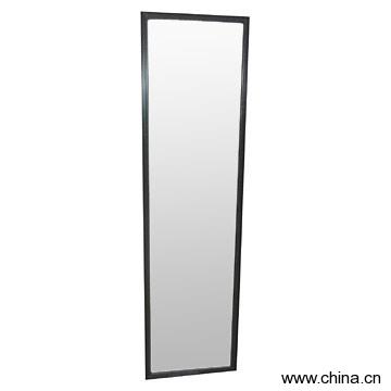 Plastic Door Mirror
