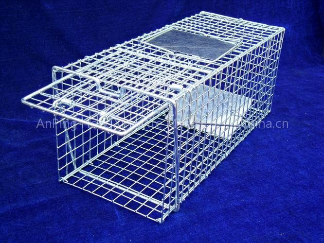 Animal cage trap
