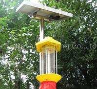 Solar pest control lamp