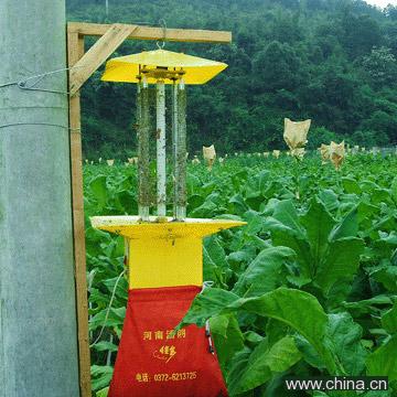 Frequoscillation Pest-Killing Lamp