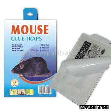 Mouse Glue Trap, Pest Control, Mouse Trap